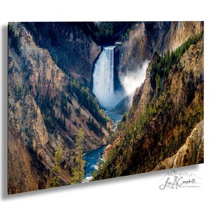 Yellowstone National Park Lower Falls, Wyoming: Fine Art / Print / Canvas / Acrylic / Metal / Landscape Wall Art Photograph
