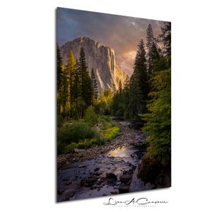 El Capitan and the Merced River, Yosemite, California: Print / Canvas / Acrylic / Metal / Wall Decor / Landscape Photograph