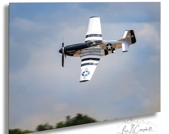 P51 Mustang War Bird, Fighter Airplane: Print / Canvas / Acrylic / Metal / Wall Decor / Photograph