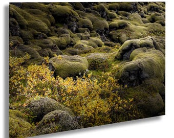 Moss Covered Lava Field Eldhraun, Iceland: Fine Art / Print / Canvas / Acrylic / Metal / Wall Decor / Landscape Photograph