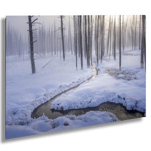 May include: A winding stream flows through a snowy forest, with tall, bare trees lining the banks. The sun shines through the fog, creating a soft, ethereal glow.