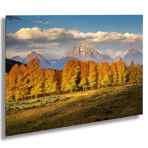 Grand Tetons Golden Aspens Print, Jackson Hole Wyoming, National Park Art, Scenic Mountain Photograph Canvas, Acrylic, Metal