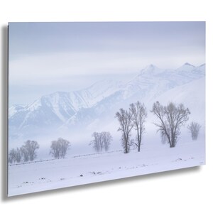 Grand Tetons Nebliger Wintermorgen, Wyoming: Druck / Leinwand / Acryl / Fine Art / Metall / Wohnkultur Fotografie