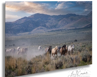 Wild Mustang Horses Photo: Onaqui Range, Utah - Western Wall Art