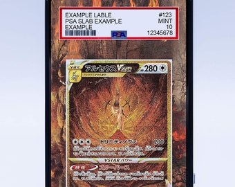 Arceus VSTAR GG70/GG70 (Graded) Case