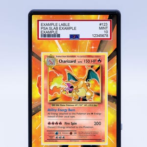 Étui pour oeuvres d'art sur base Dracaufeu (classée)