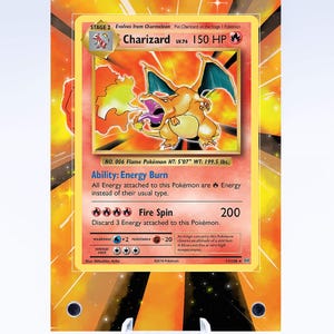 Charizard Case | Art Guard Case (Ungraded)