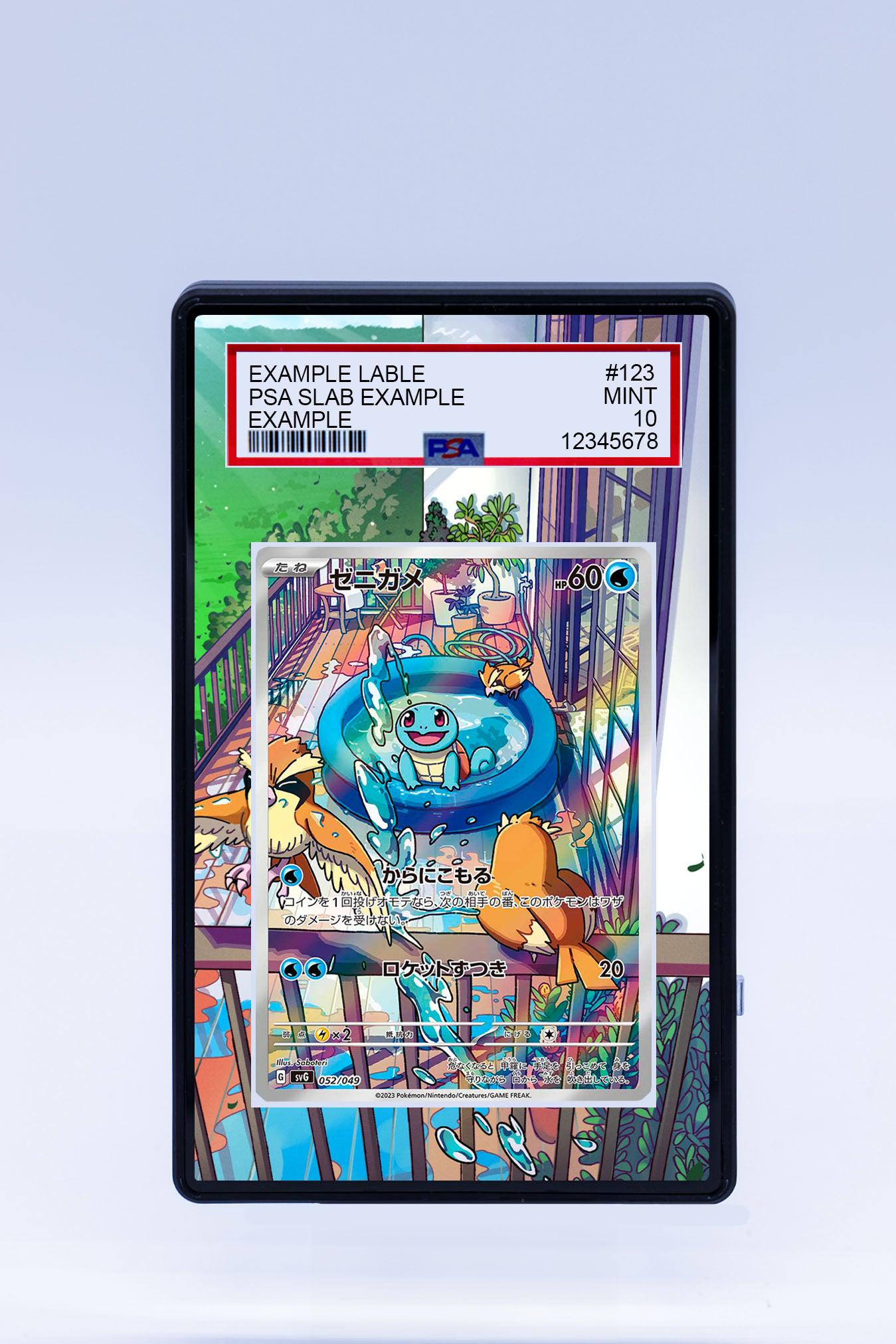 graded squirtle card Rayquaza C Lv.X main image 1