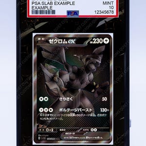 Zekrom EX (Graded) Case