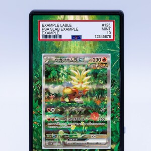 Gouging Fire 204 162 (Graded) Case