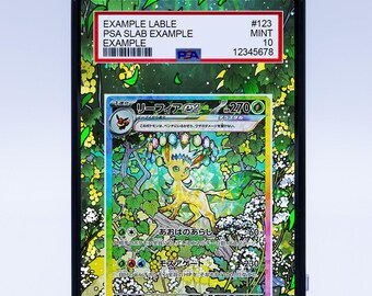 Mewtwo GX 78 73 (Graded) Case