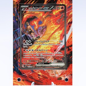 Moltres EX Case | Art Guard (Ungraded)