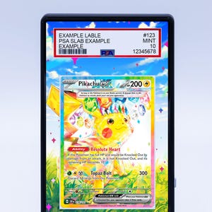 Pikachu EX 238 191 (Graded) Case