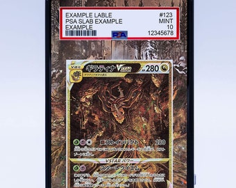 Giratina VSTAR GG69/GG70 (Graded) CASE