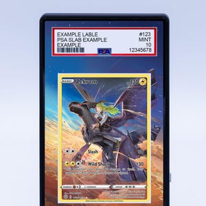 Zekrom TG05 TG30 (Graded) Case