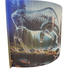 Transparent Moose -23cm-499 Pages- Photo Strip , Fore-Edge , Pattern