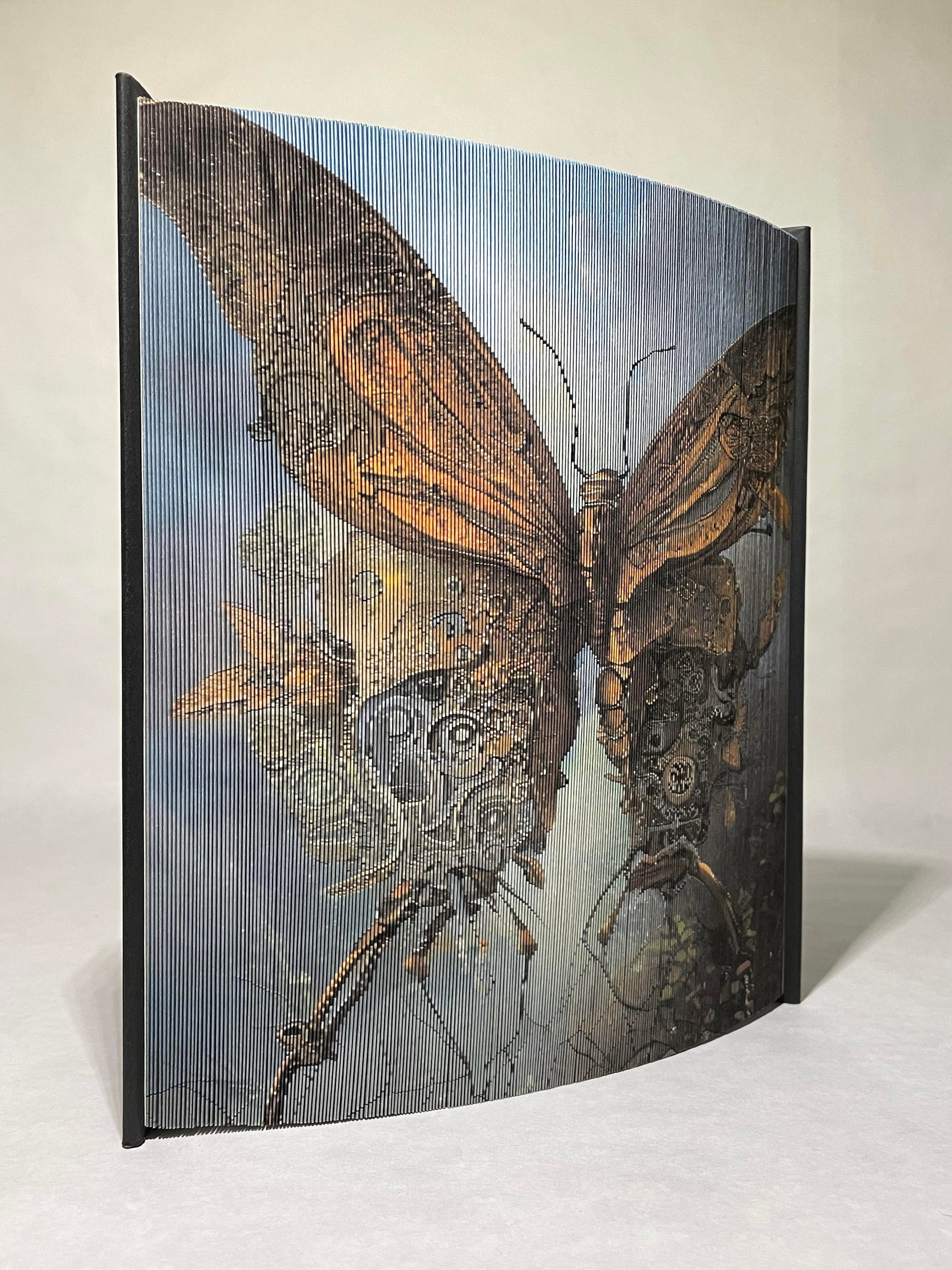 Steampunk Butterfly -photo Edge Pattern - Etsy