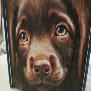 Chocolate Labrador - Photo Strip Pattern