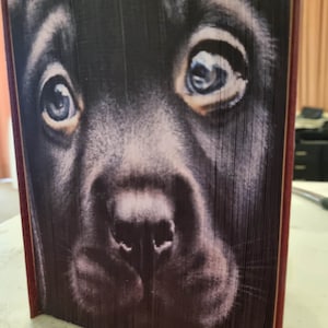 Black Labrador Puppy - Photostrip Pattern