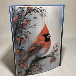 Branche de fleurs cardinales - Motif de bandes de photo