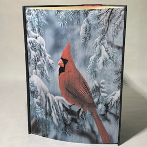Snow Cardinal- Photo Edge Pattern