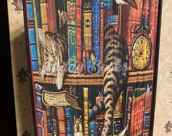 Bibliothekskatze - Fotostreifen, Fotostreifen, Vorderkantenmuster
