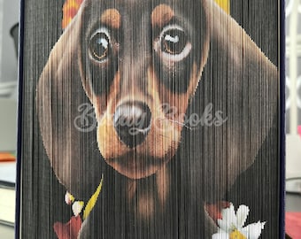 Daschund - Photostrip, Photo Strip, Motif avant-bord