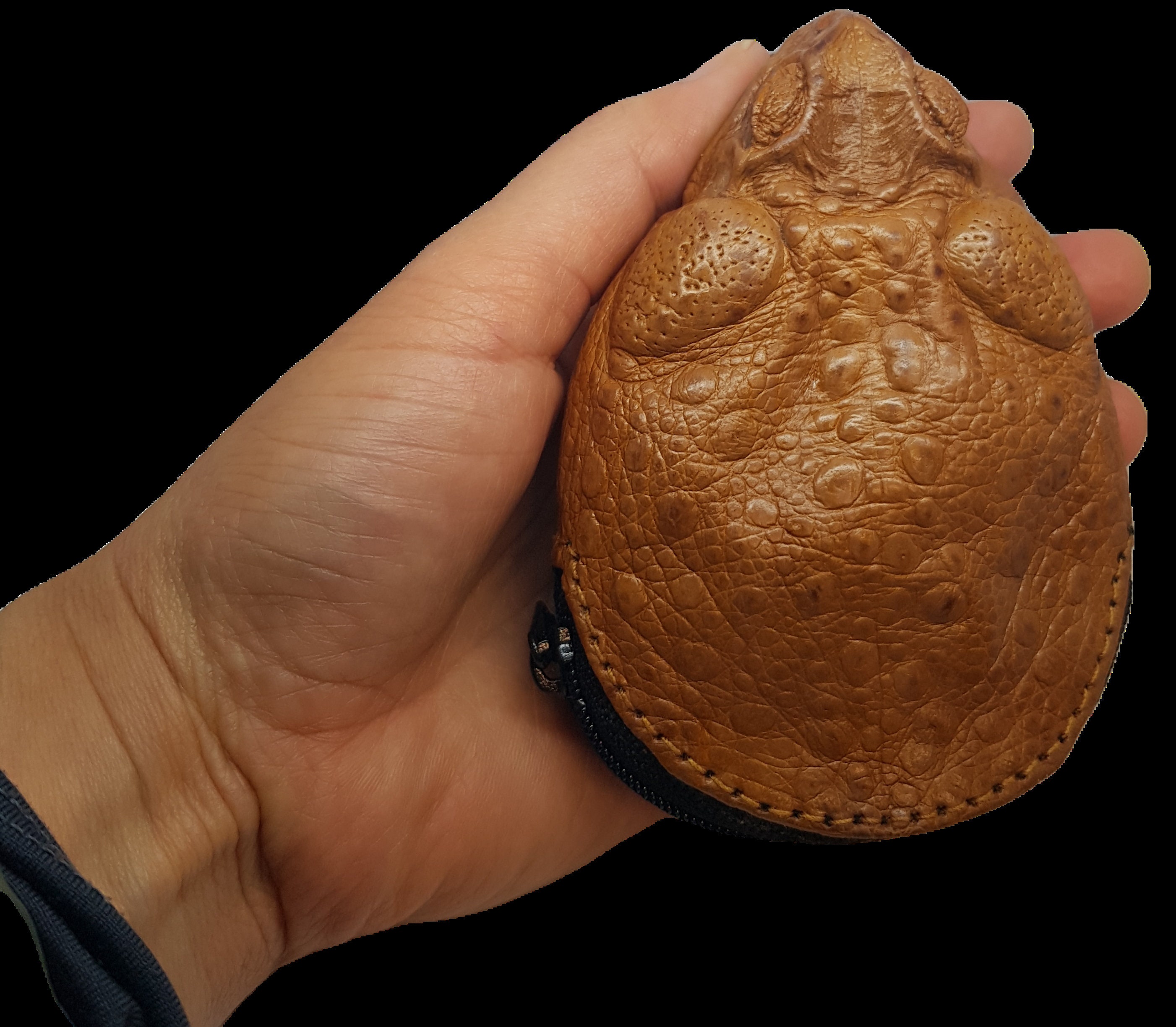 Leather Wallet Cane Toad Purse Realistic Frog Decoration Coin Pouch