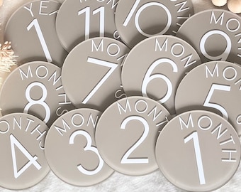 Acrylic Baby Milestones Disc Baby Monthly Milestone Cards Baby Monthly Milestone Markers Baby Monthly Photo Prop Newborn Birth Announcement
