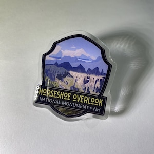 RDR Horseshoe Overlook Pin - Acrylic, Front Side Epoxy, 2&quot; Height