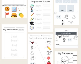 Human Anatomy Worksheets Homeschool Science Coloring Book - Etsy