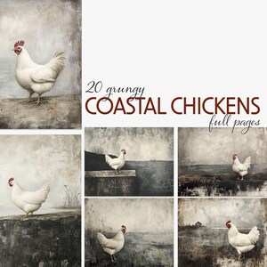 Grungy Coastal Chickens - 20 arrière-plans pleine page pour journaux indésirables, albums de coupures, revues d'art, collage, techniques mixtes, 11 x 8,5 JPG et PDF