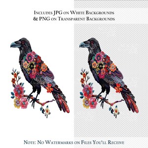 Pode incluir: Um corvo preto com flores coloridas e padr&otilde;es intrincados em suas penas, empoleirado em um galho com flores rosa e brancas. O corvo est&aacute; em um fundo branco.  INCLUDES JPG ON WHITE BACKGROUNDS & PNG ON TRANSPARENT BACKGROUNDS. NOTE: NO WATERMARKS ON FILES YOU'LL RECEIVE.