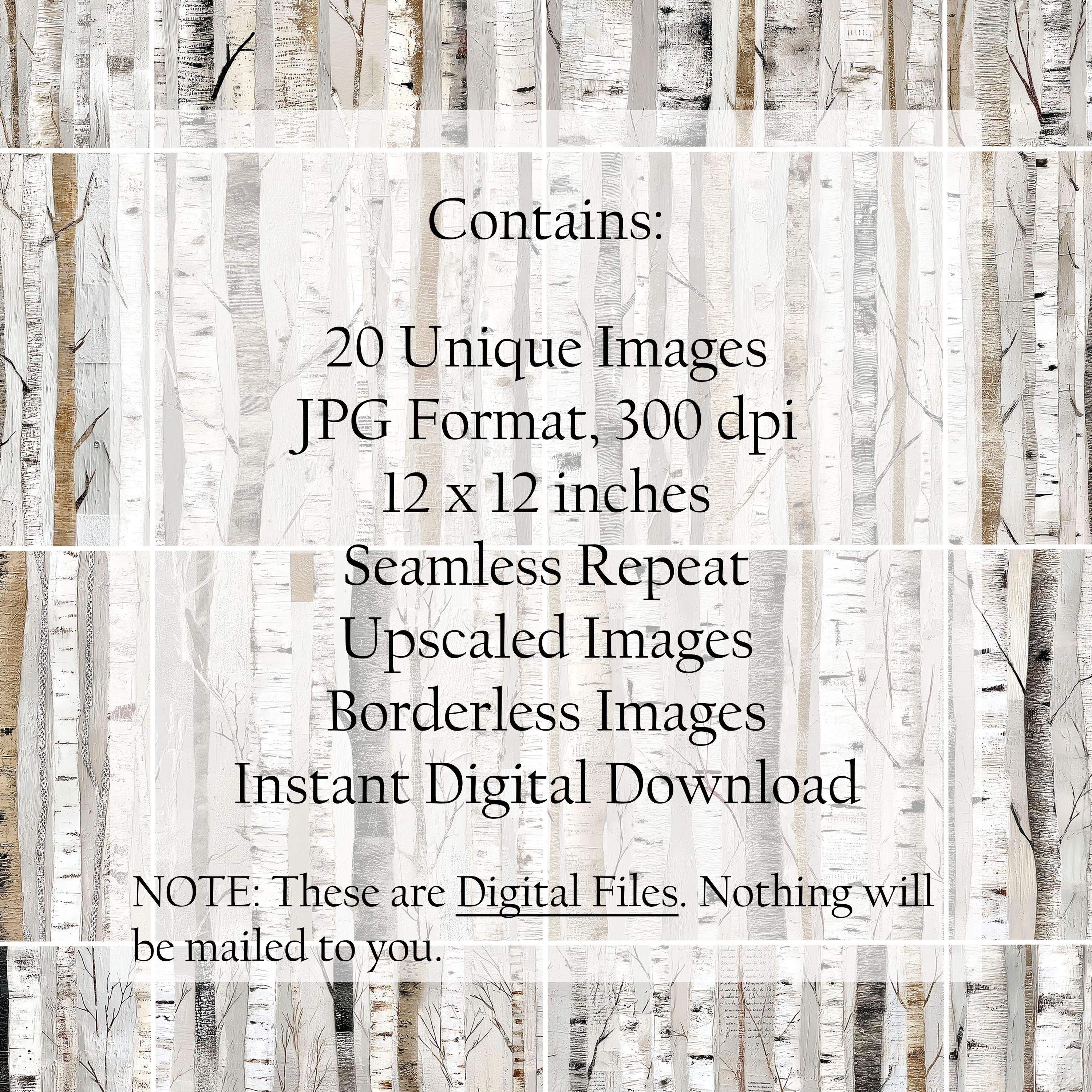 Seamless Birch Tree Digital Papers – 20 Winter Woodland Backgrounds ...