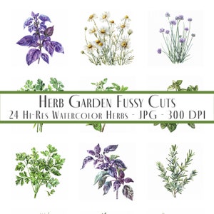 Ephemera de jardim de ervas, clipart de ervas, recortes de ervas em aquarela, pacote de cortes exigentes, criação de cartões, recortes de scrapbook, diário de lixo