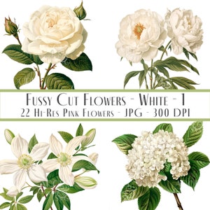 Éphémères de fleurs blanches, cliparts fleurs, cliparts mariage, fleurs blanches, coupes difficiles, fabrication de cartes, kit de collage, journal indésirable, publicité