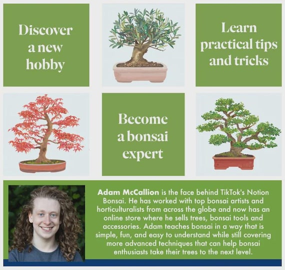 The Happy Bonsai Handbook von Adam McCallion (Signiertes Hardcover-Buch) -  Etsy.de