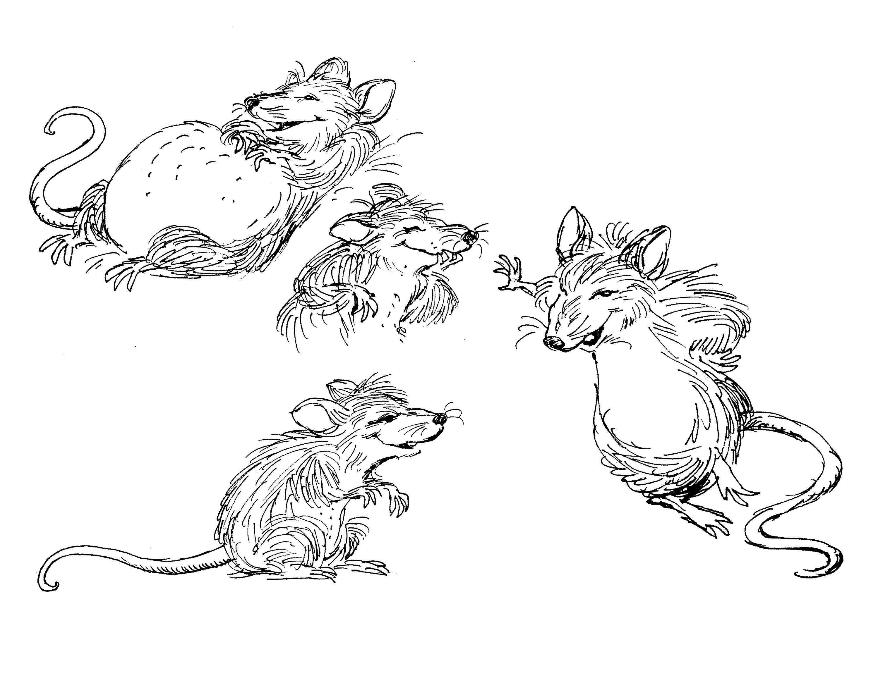 CHARLOTTE'S WEB Model &amp; Character Sheets, 1973 Hanna-barbera Animated ...