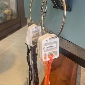 May include: Two white plastic embroidery floss organizers held on metal binder rings. Each organizer features handwritten labels reading "Dk Slate Grey" and "3K Pumpkin" with corresponding dark grey and orange embroidery threads attached to the slots.