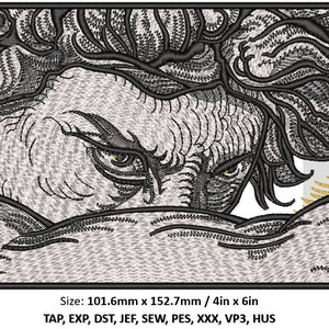 Digital File Embroidery Design, Alexandre Cabanel Fallen Angel, Embroidery Designs for PES, DST Machine Embroidery File, Instant Download