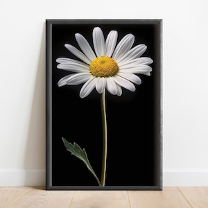 Daisy Poster | All Sizes | Waving Daisy | Print Ready | Simple Wall Art | Instant Download | 300 DPI | High Resolution | PNG | Flowers