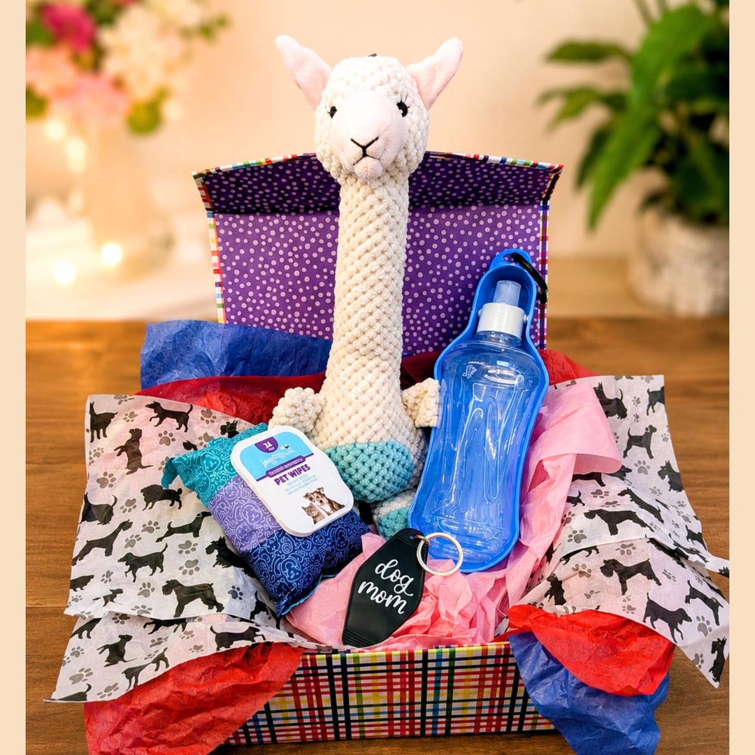 New Puppy Gift Box Pet Present for Puppy Dog Birthday Gift Basket Mom ...