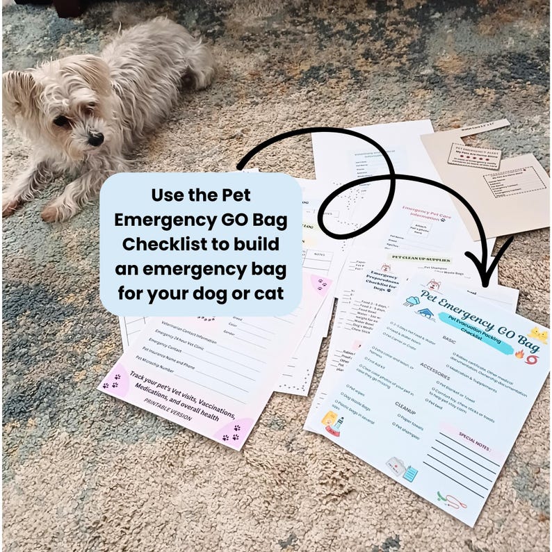 May include: A set of printed Pet Emergency GO Bag checklist documents featuring white paper sheets with black text, blue and pink accents, and small illustrations of pet supplies, including a card labeled Pet Emergency Alert for dogs or cats.