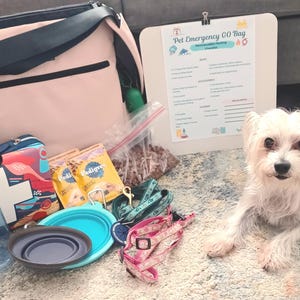 May include: A light pink pet emergency go-bag, a white checklist sign, a blue and white first aid kit, two Pedigree food pouches, a clear water bottle, two collapsible silicone bowls, a teal leash, a pink harness, and a small white dog.