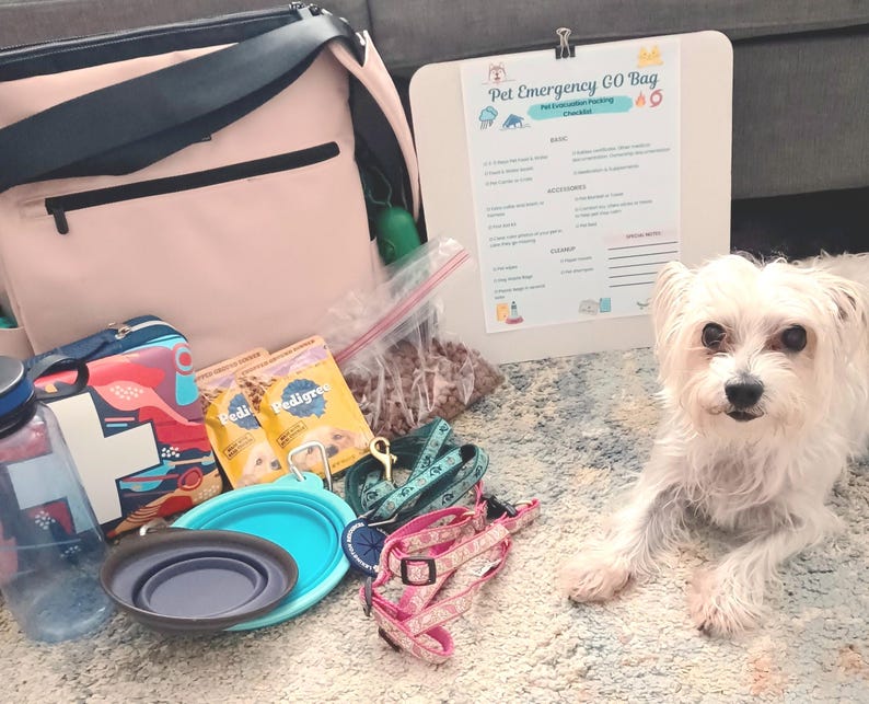 May include: A light pink pet emergency go-bag, a white checklist sign, a blue and white first aid kit, two Pedigree food pouches, a clear water bottle, two collapsible silicone bowls, a teal leash, a pink harness, and a small white dog.