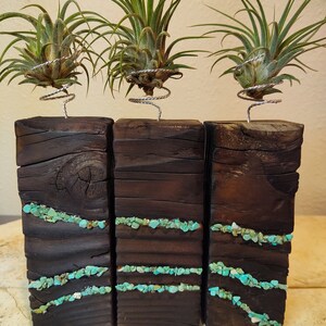 May include: Three air plants in individual wooden planters with turquoise accents. Each planter is made from reclaimed wood and features a unique design. The plants are displayed on a light brown surface.