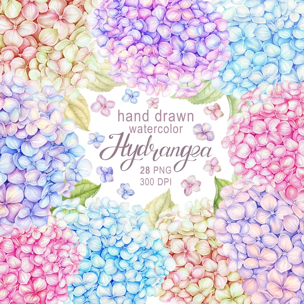 Hydrangea Watercolor Clipart, Hydrangea PNG, Pink Blue Vintage Shabby Flowers, Boho Wedding Flowers, Floral farm flowers Digital Clip Art