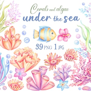 Under the Sea Cutouts/under the Sea Corals/under the Sea Decorations/corals/seaweed/props/under  the Sea Party Decorations/mermaid Cutouts 