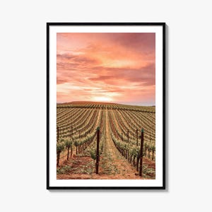 Sonoma Colorful Poster Print, Sonoma Photo Wall Art, Sonoma Wall Decor, Sonoma Travel Print, Sonoma Street Map Poster, City Map