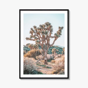Joshua Tree National Park kleurrijke poster print nr. 4, Joshua Tree National Park fotokunst, decor, reizen print, stratenplan poster, stadsplattegrond